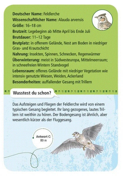 Moses Expedition Natur 50 Heimische Vögel - Image 3
