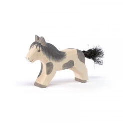 Ostheimer Shetland Pony Laufend