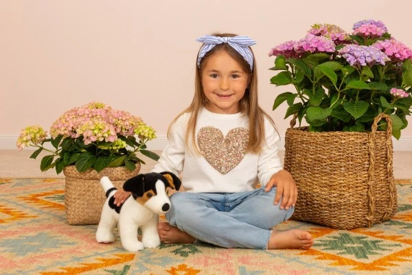 Hermann Teddy Jack Russel Terrier Welpe 28 Cm - Image 5