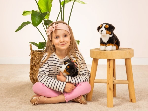 Hermann Teddy Berner Sennenhund Sitzend 21 Cm - Image 5