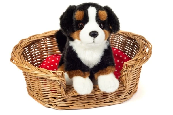 Hermann Teddy Berner Sennenhund Sitzend 21 Cm - Image 4